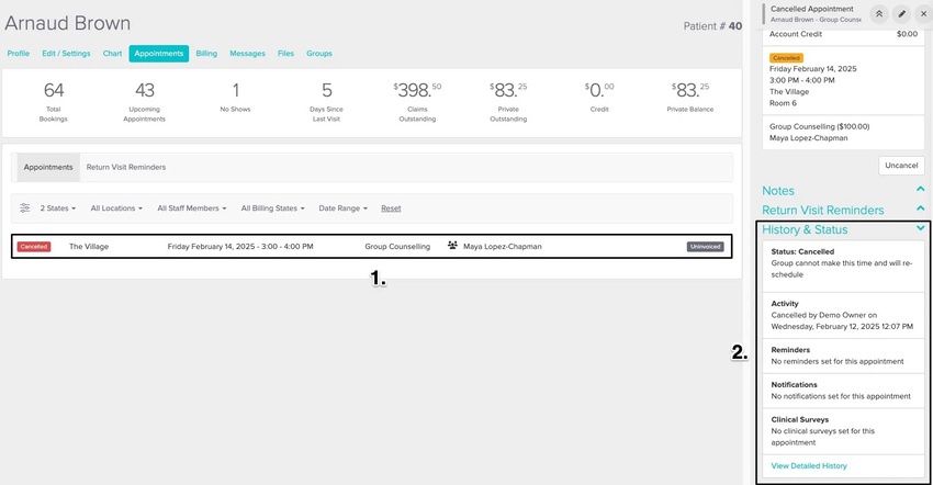 An image of what the appointment panel looks like once you click on the appointment