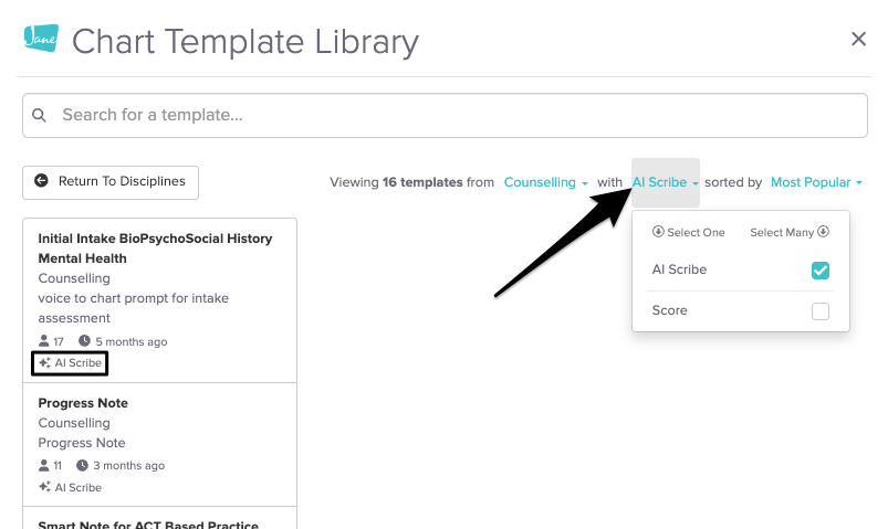 filtering for ai scribe