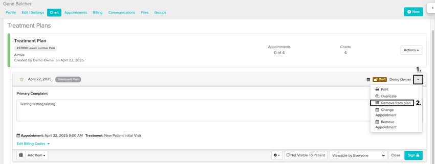 An image of what the dropdown option looks like for a chart entry within a treatment plan