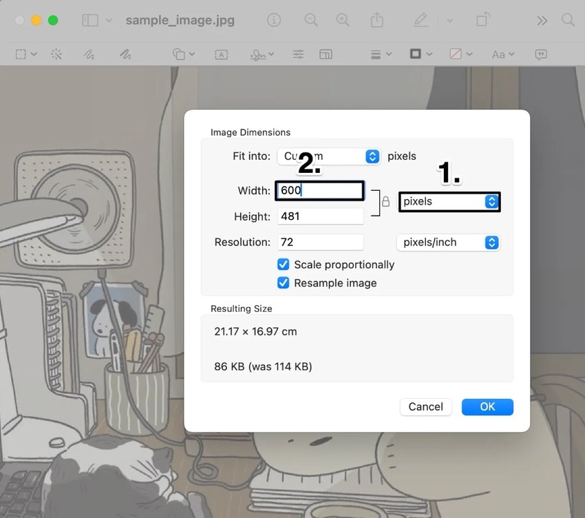 An image of the navigational steps and where to enter the pixel dimensions for the image