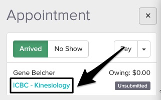 screenshot of where to find the blue text within the appointment panel