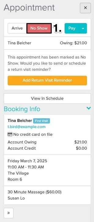 a screenshot of where to click on the No Show button within the appointment panel on the right