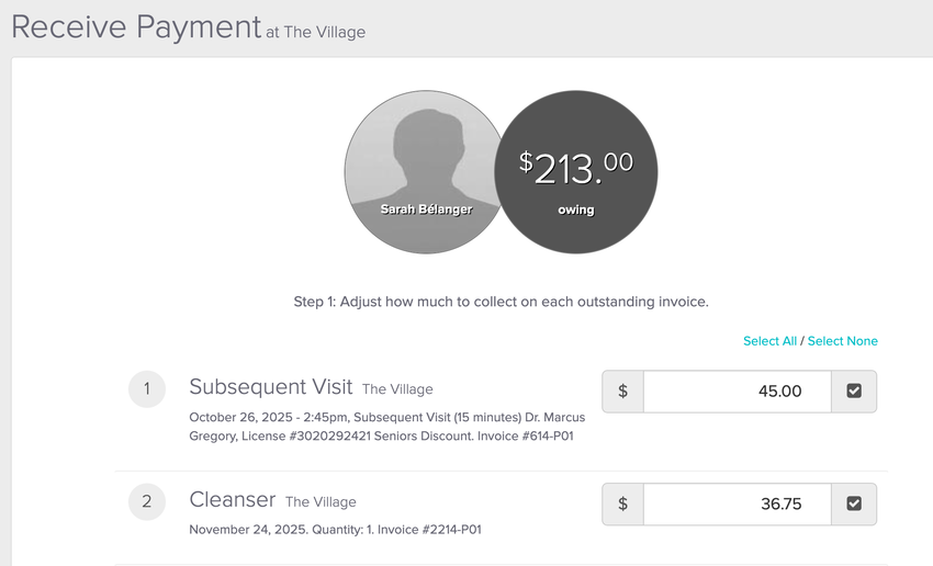 An image of the receive payment screen in reference to where Jane will redirect