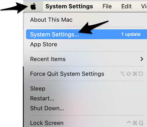 Screenshot on how to select the Apple menu and "System Preferences"