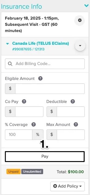 An image of the appointment panel and where to click on the Pay