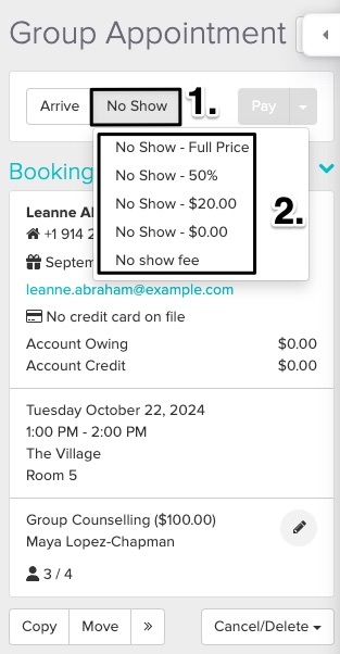 An image of where to find the no show button within the appointment panel