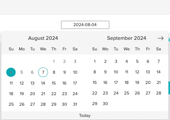 screenshot of what the date picker looks like