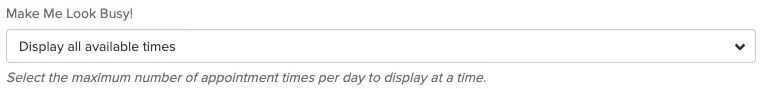 An image of what the make me look busy setting looks like within the staff member's profile after they navigate to the online booking area