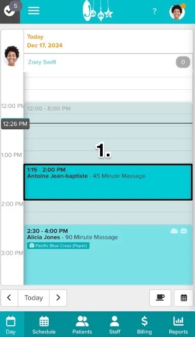 An image of what it looks like for practitioners opening up a patient's chart on a smartphone