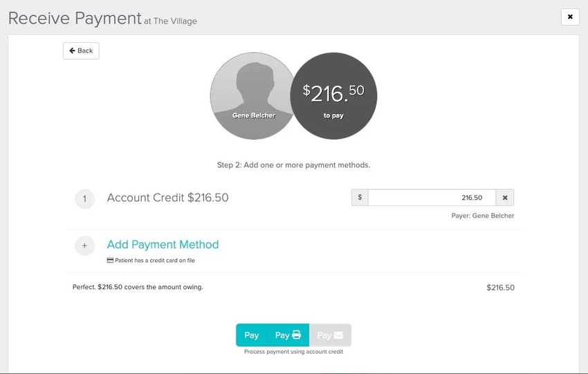 An image of what the credit should look like on the last payment screen