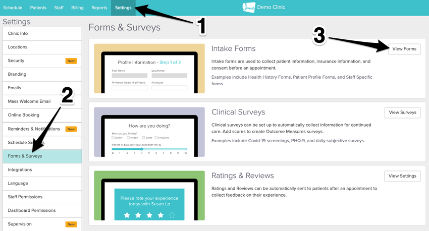 Preview intake form