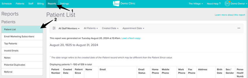 screenshot of the Patient List Report