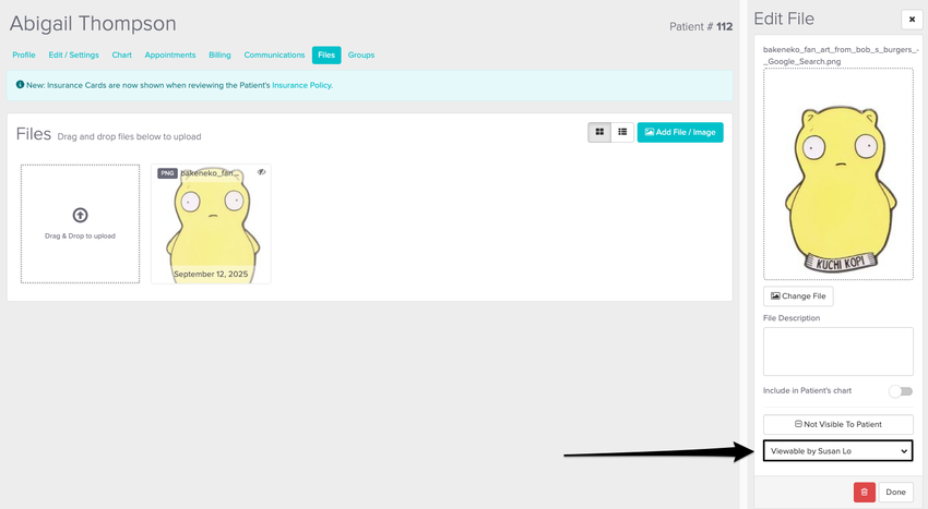 An image of where the visibility settings can be updated within the files area of the patients profile