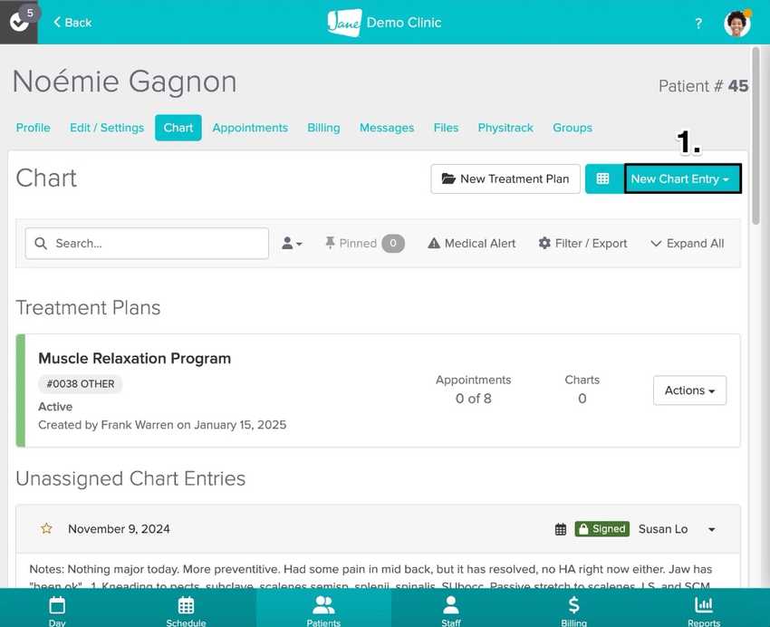 An image of where to view and tap on the new chart entry button in the charting area of a patient's profile