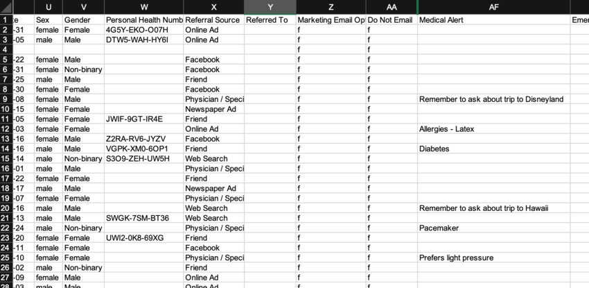 Patient list spreadsheet example