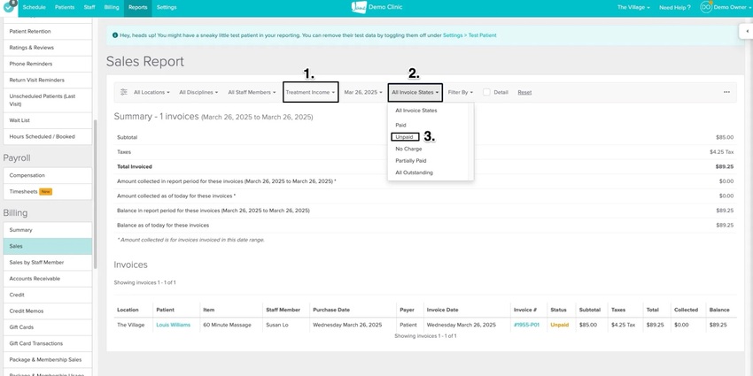 screenshot of what the report looks like and where to set the filters