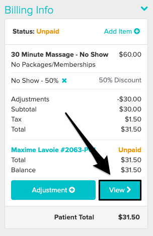 An image of where to click on view within the appointment panel once the appointment is clicked on
