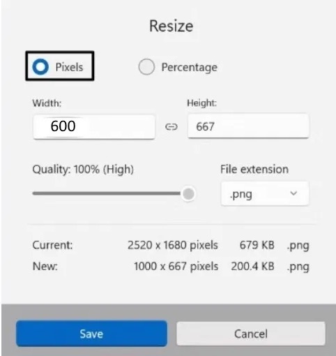 An image of what the resize window looks like and where the option to edit the pixels is