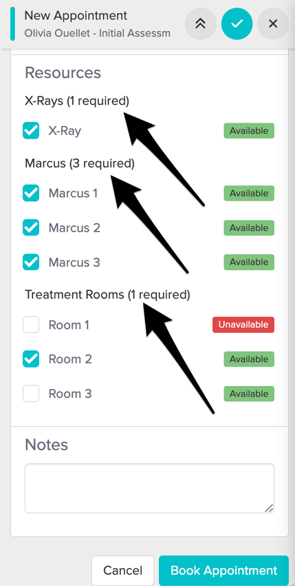 a screenshot of resources in the appointment panel